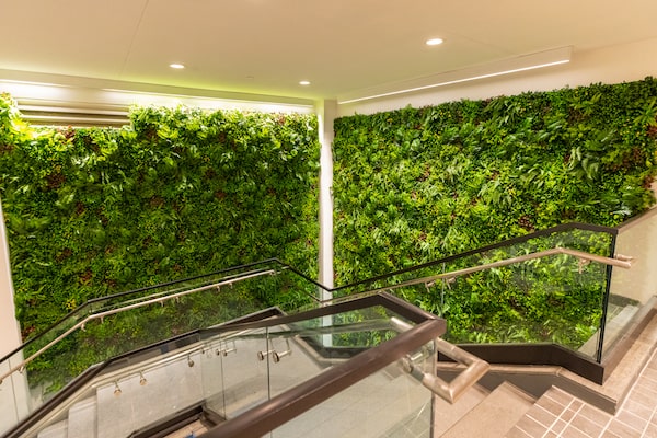 Green Wall Indoors