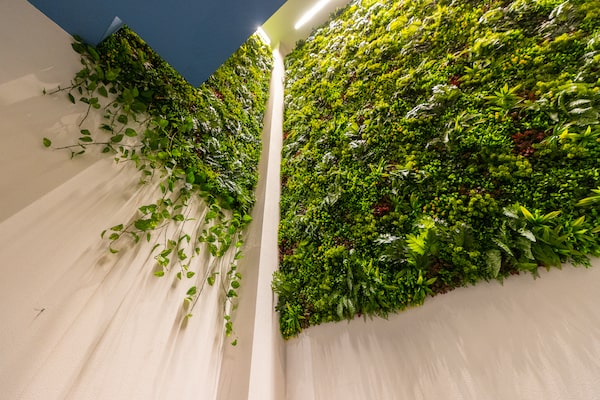 Green Wall Indoors