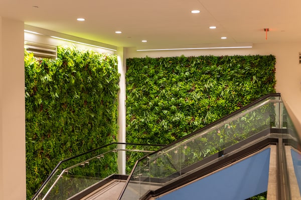 Green Wall Indoors