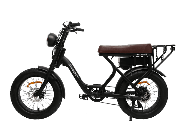 Rover 750W Electric Bike