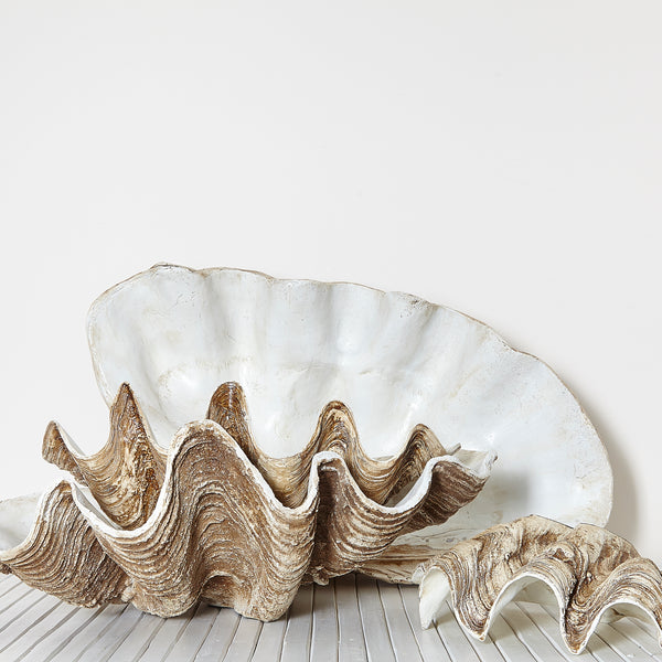 resin giant clam shell bowl