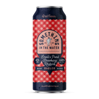 Something in the Water Small's Pond Strawberry Rhubarb Radler