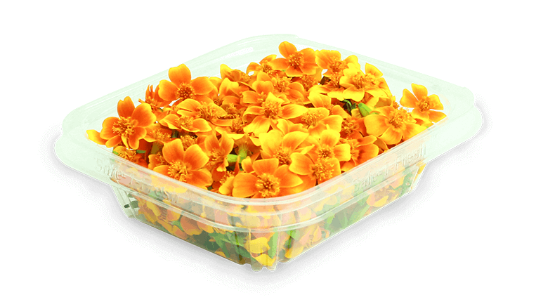 Micro Marigold Blossoms shop only at Flavour Fields