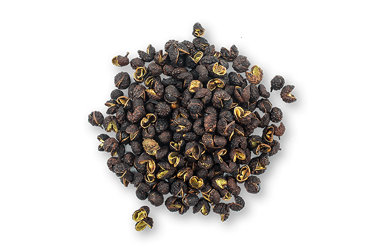 Timut Pepper Tree in Nepal - Lafayette Spices