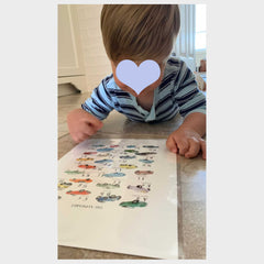 little boy looks at alphabet of cars illustrated with watercolors