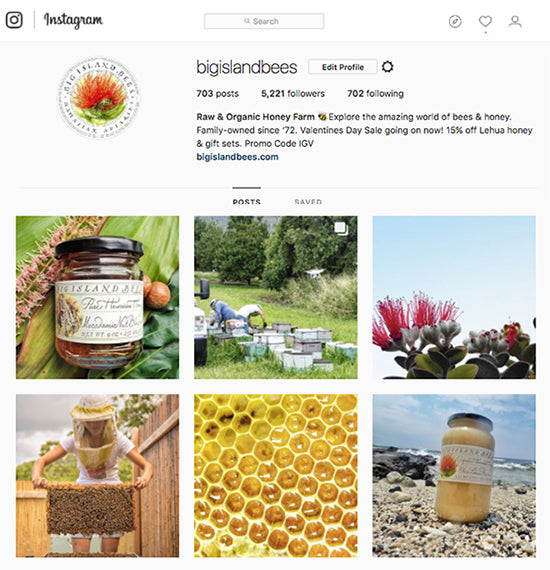 big island bees instagram profile
