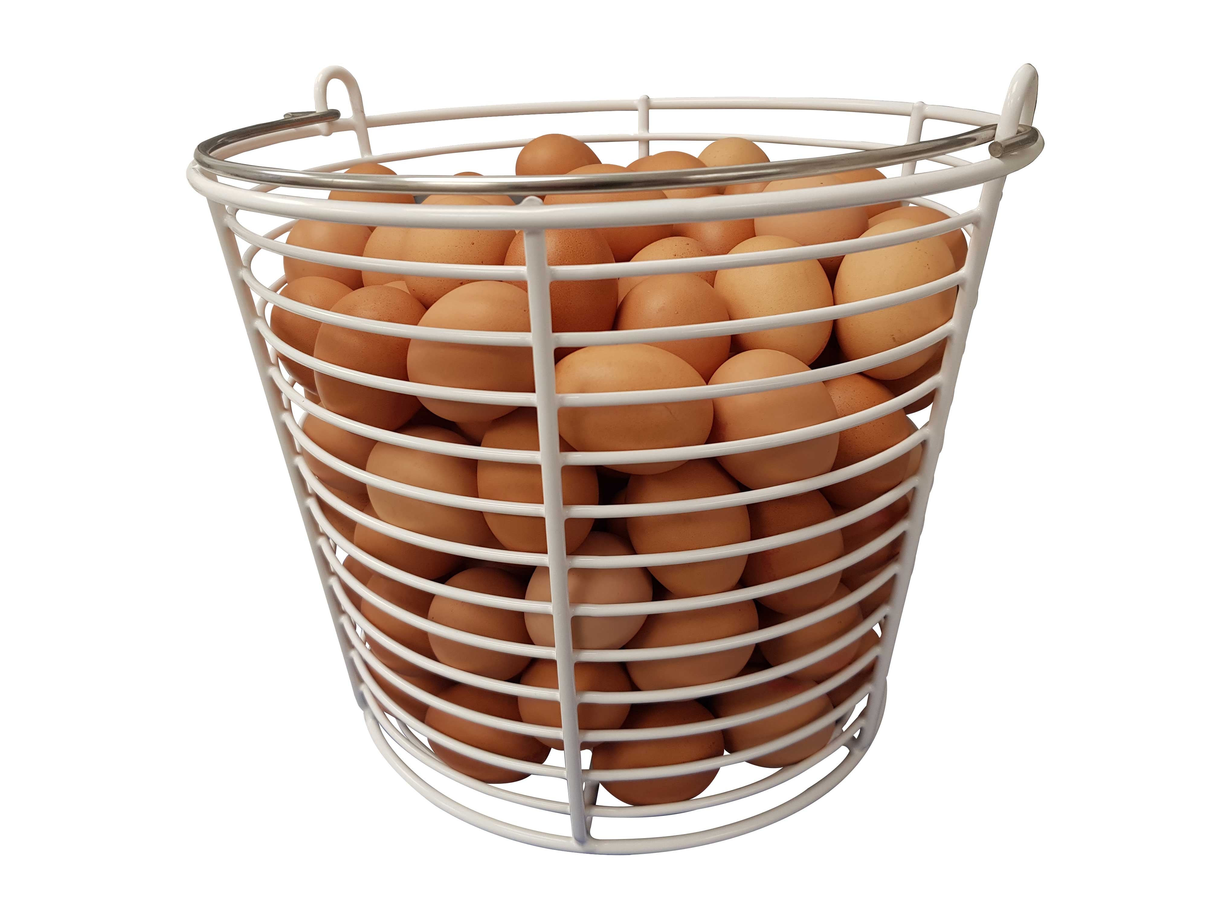 Rotomaid Egg Washer
