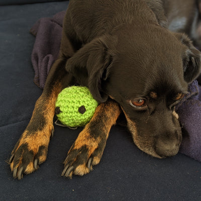 workshop participant's finished pea with a dog