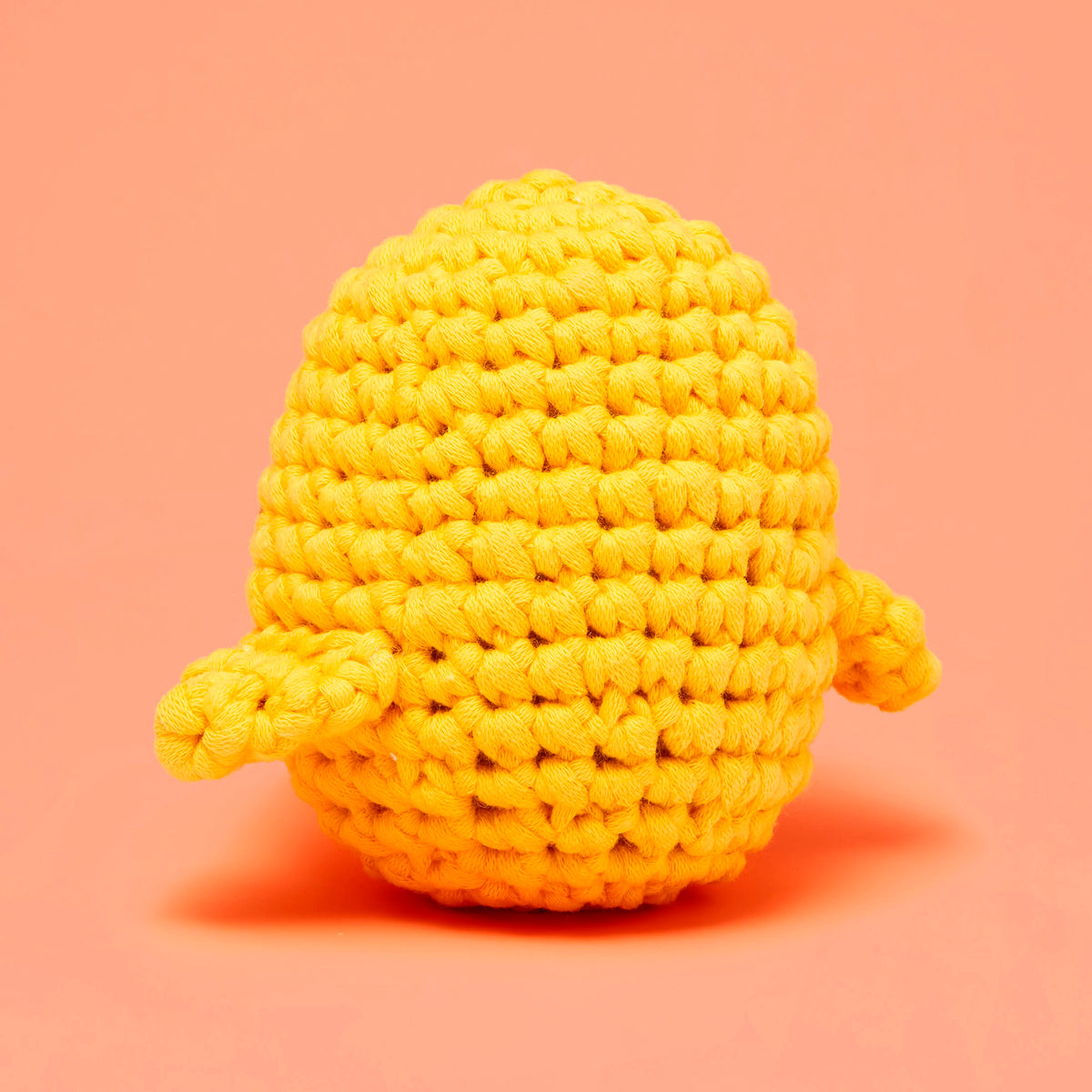 Chick Crochet Kit