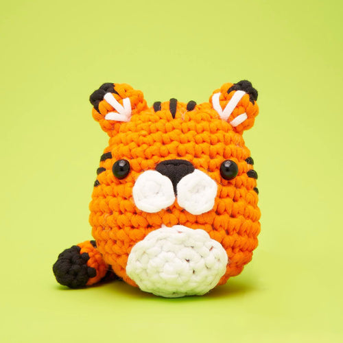 RJ Crochet Kit