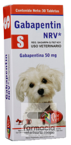 Gabapentin S