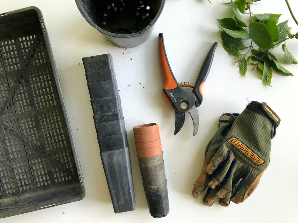 Garden tools- leafy island- tools