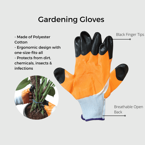 7 Pieces Gardening Tools Seed Handheld , Trowel Pruning, Shear,Gloves FS