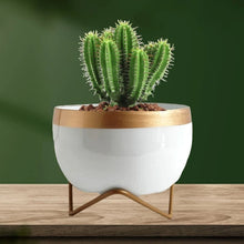 Load image into Gallery viewer, White Lavender Table Top Planter
