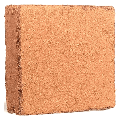 coco peat blocks