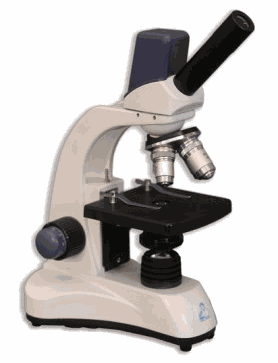 Best Microscope For Viewing Trichomes: Top 3 