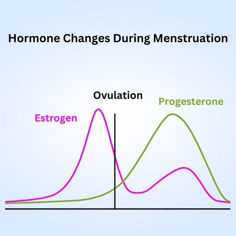 Graph Showing Hormone Changes Throughout the Menstrual Cycle | Thryv Organics, Dallas TX