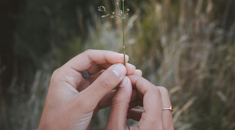 beautiful hands holding flower