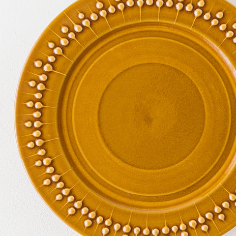 Adachino Potari's rim plate with a nice teardrop pattern