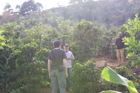 La Casona de Doña Lina coffee farm at Tarrazu, Costa Rica 