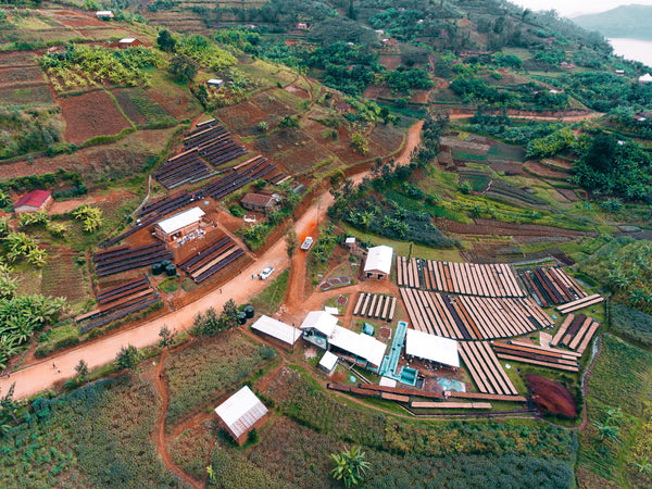 Aerial view of Rugali coffee farm