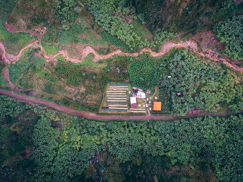 Aerial view of Vunga Cooperative coffee farms