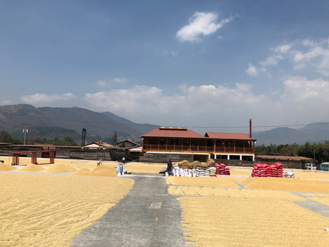 Hacienda Carmona de Pulcal drying beds 