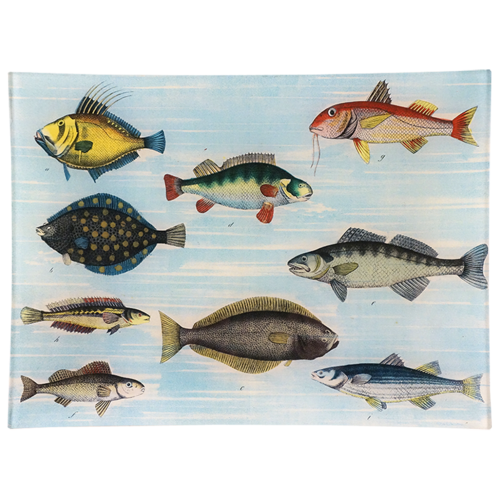 School of Fish 9 x 12" Rect. Tray