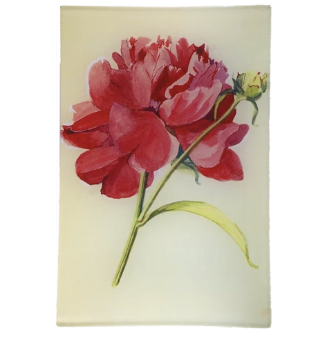 Peony 3, 6" x 9" Tray