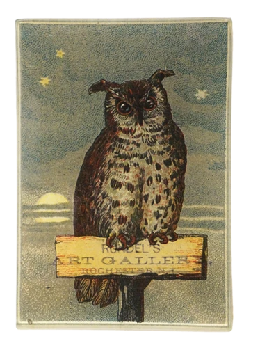 Owl Gallery 3.5 x 5" Tray