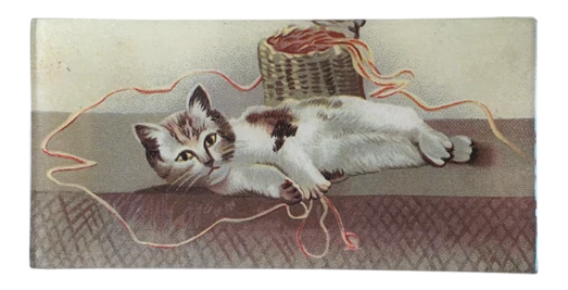 String (Cat) 4" x 9" Rect. Tray