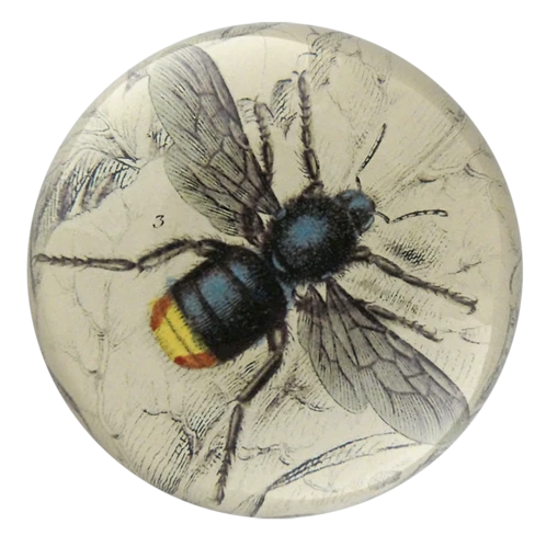 Cuckoo Bumble Bee Dome Paperweight