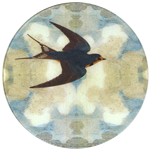 Swallow in Flight, Left and Right