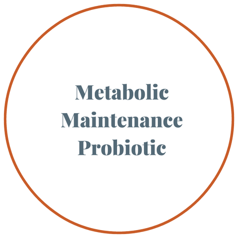 Metabolic Maintenance Probiotic