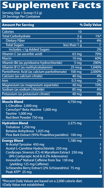 Driven Pre-Workout Strawberry Kiwi (Metabolic Response Modifier)