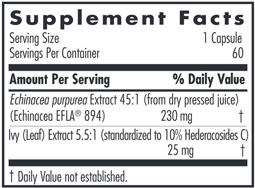 Echinacea Ivy (Allergy Research Group)