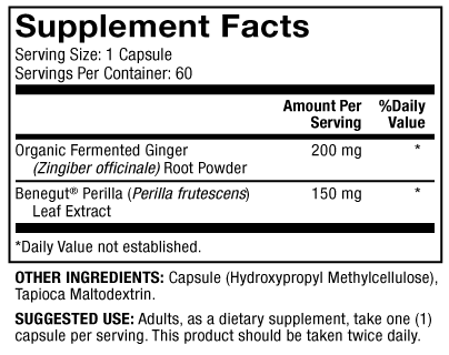 Fermented Ginger (Dr. Mercola)