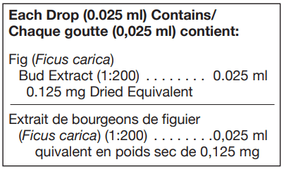 Ficus carica 125 ml (UNDA)