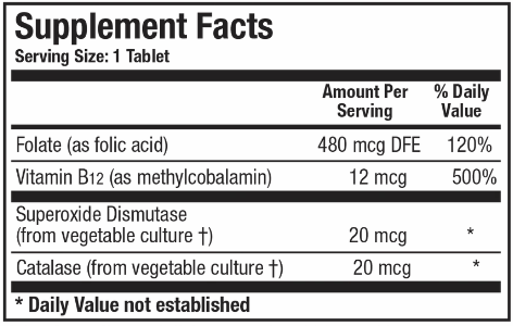Folic Acid 800 (with B12) (Biotics Research)