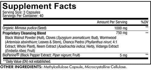 Mimosa Pudica Seed (Codeage)