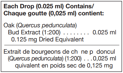 Quercus Pedunculata 125 ml (UNDA)