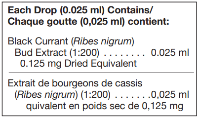 Ribes nigrum 125 ml (UNDA)