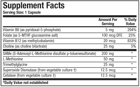 SAMethylate Plus (Biotics Research)