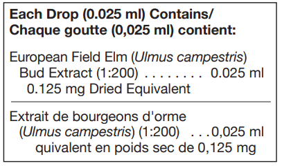 Ulmus Campestris 125 ml (UNDA)