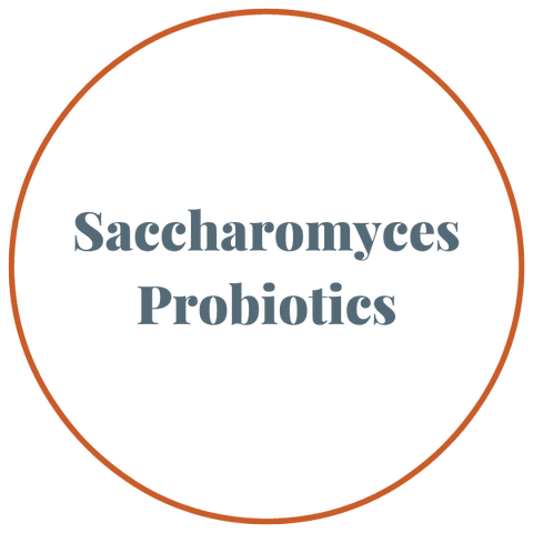 Saccharomyces Probiotics