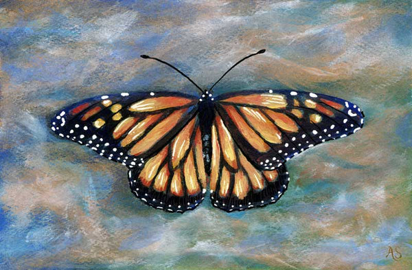Butterfly symbolism monarch butterfly