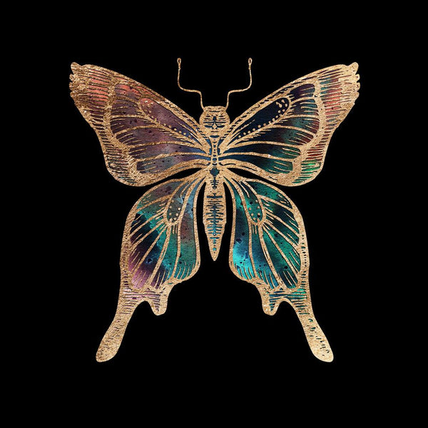 Galactic Butterfly Fine Art Print - Aimee Schreiber