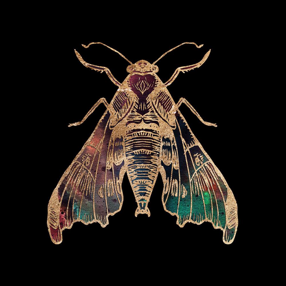 Surreal Death Moth  Fine Art Print  vonKowen Shop
