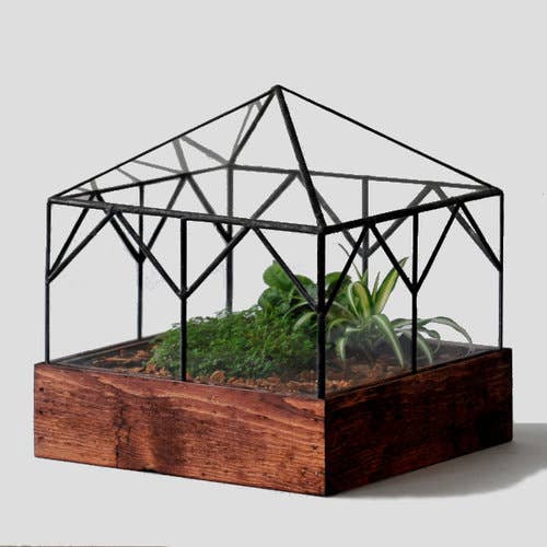 Terrarium DIY kit+terrarium scissors • Atelier Créatif Petra