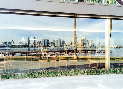 dog-friendly-coronado-reflection-skyline